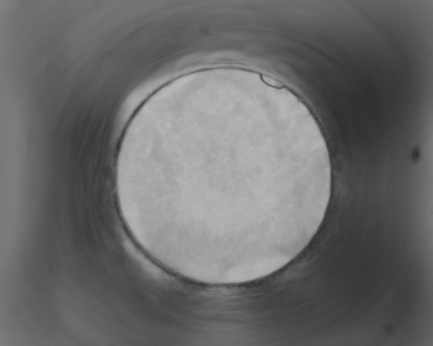 X0000115791527200912241821