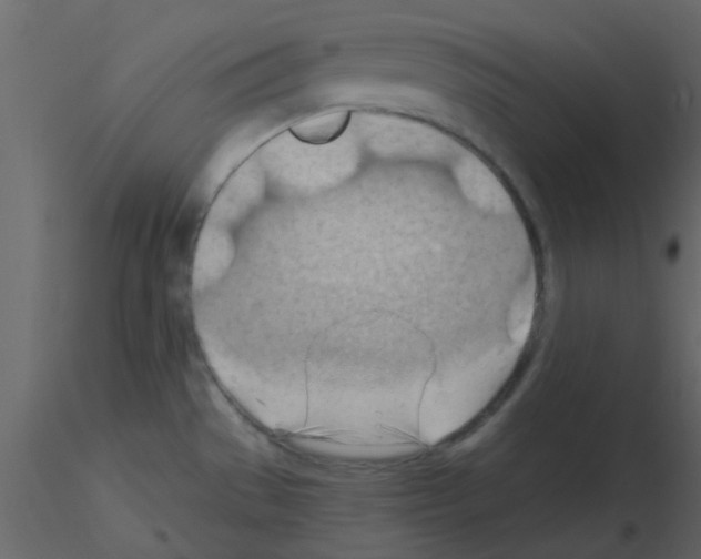X0000115791529200912241821