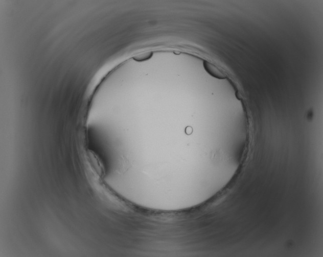 X0000115791530200912241821