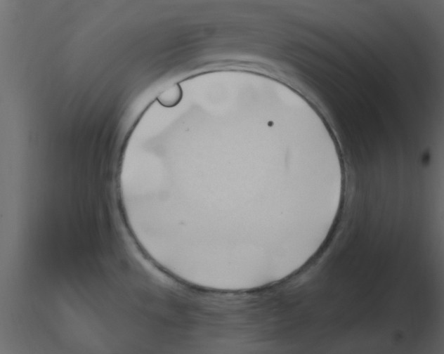 X0000115791533200912241821