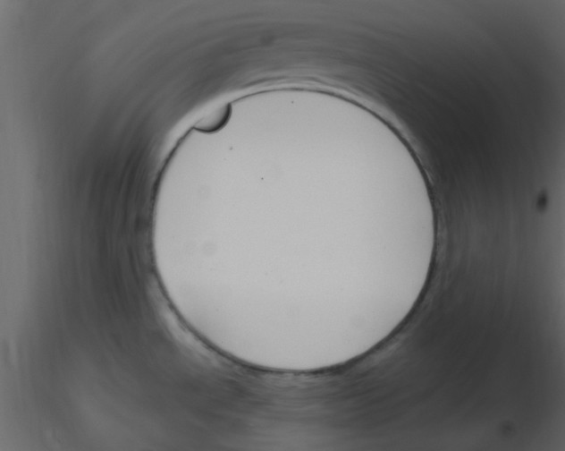 X0000115791534200912241821