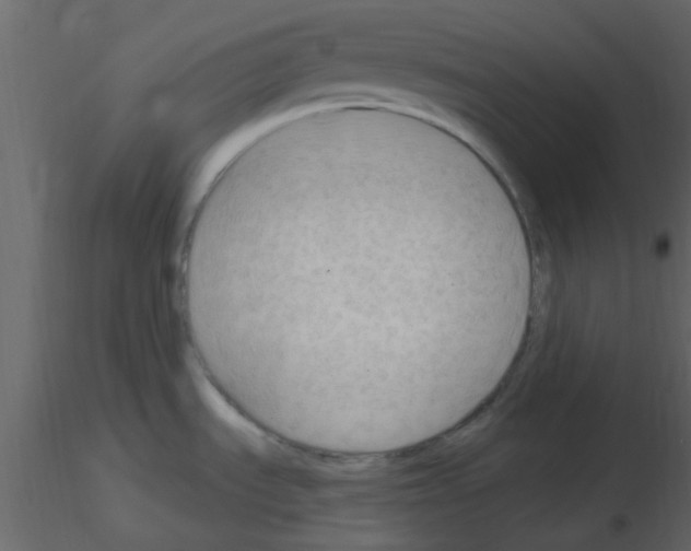 X0000115791535200912241821