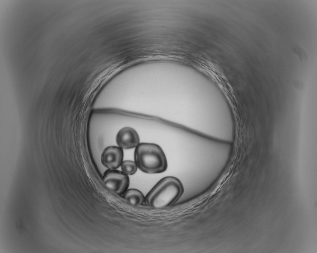 X0000115800001200911131032