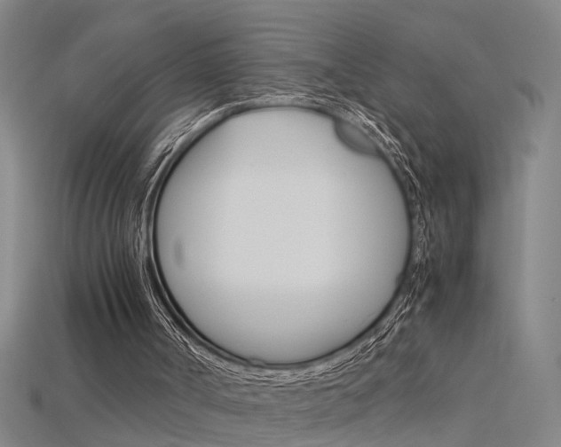 X0000115800002200911131032