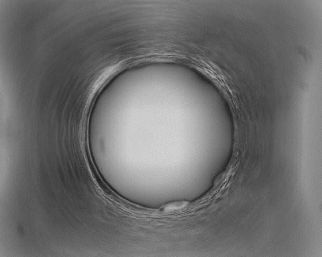 X0000115800003200911131032