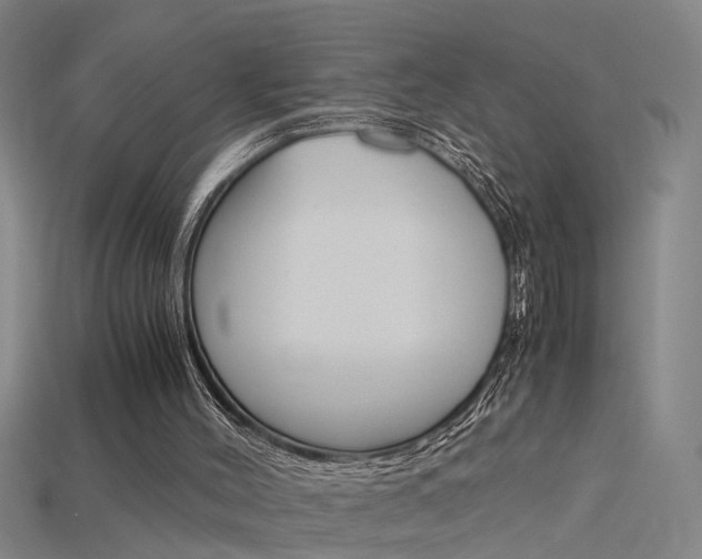 X0000115800004200911131031