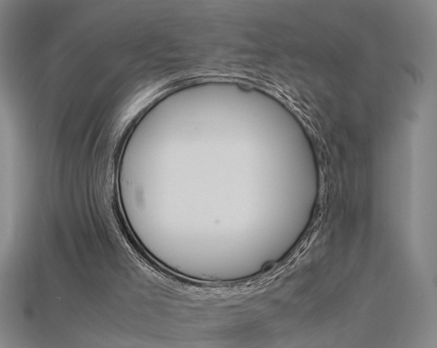X0000115800005200911131031
