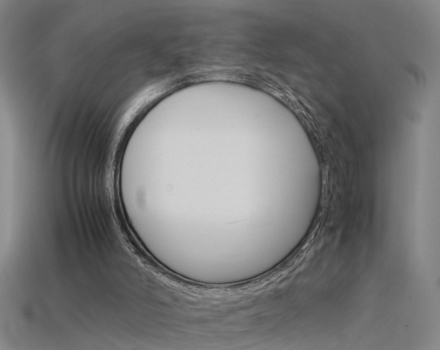 X0000115800006200911131031
