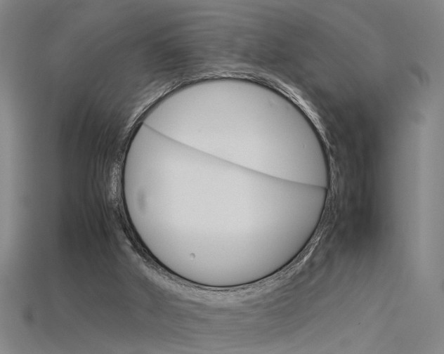 X0000115800010200911131031