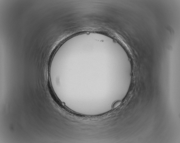 X0000115800011200911131031