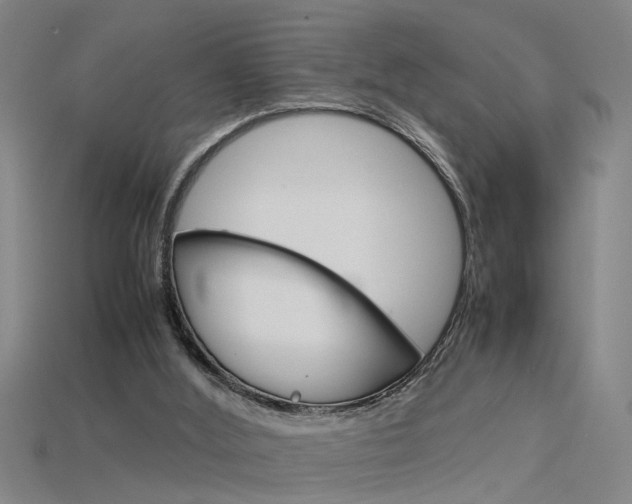 X0000115800012200911131031