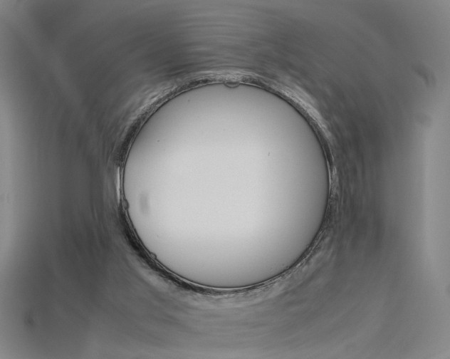 X0000115800013200911131031