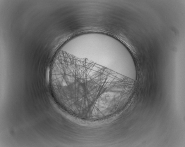 X0000115800014200911131031