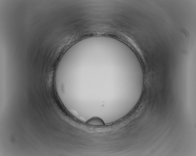 X0000115800018200911131031