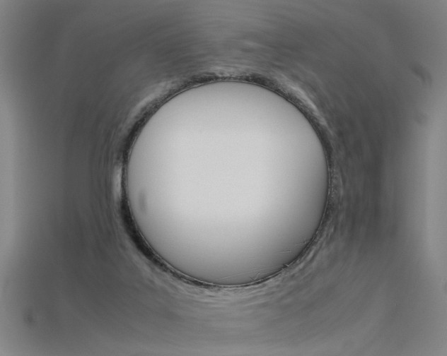 X0000115800019200911131031
