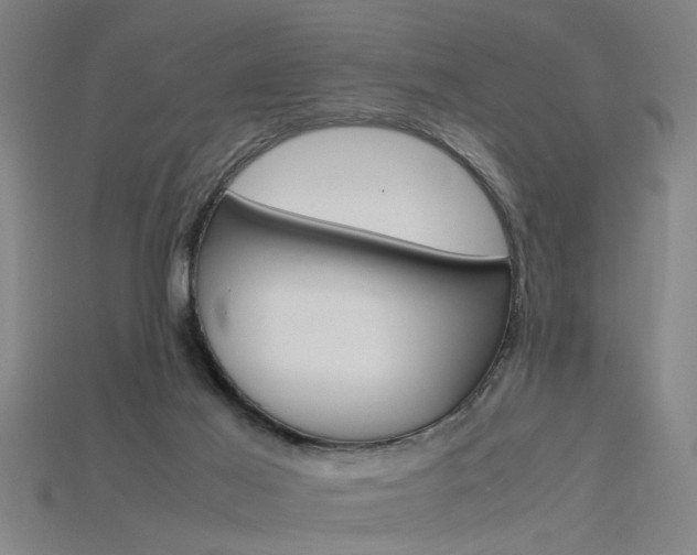 X0000115800021200911131031