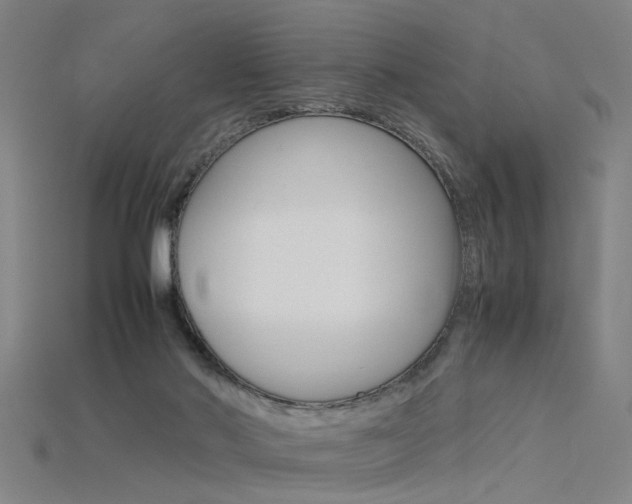X0000115800022200911131031