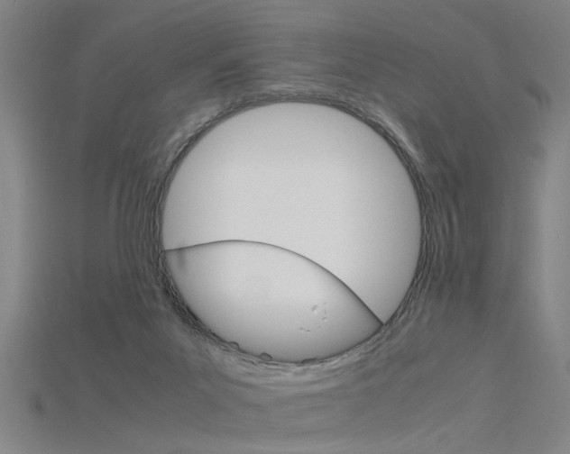 X0000115800023200911131031