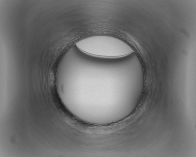 X0000115800025200911131031
