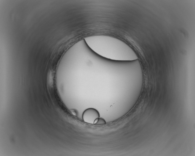 X0000115800026200911131031