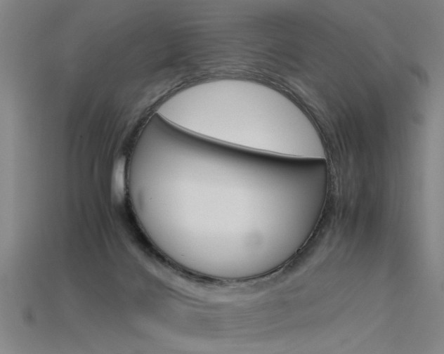 X0000115800028200911131031
