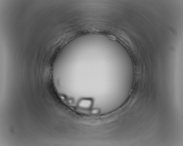 X0000115800029200911131031