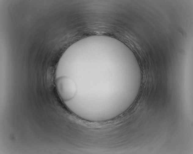 X0000115800030200911131031