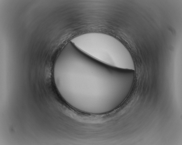 X0000115800032200911131031