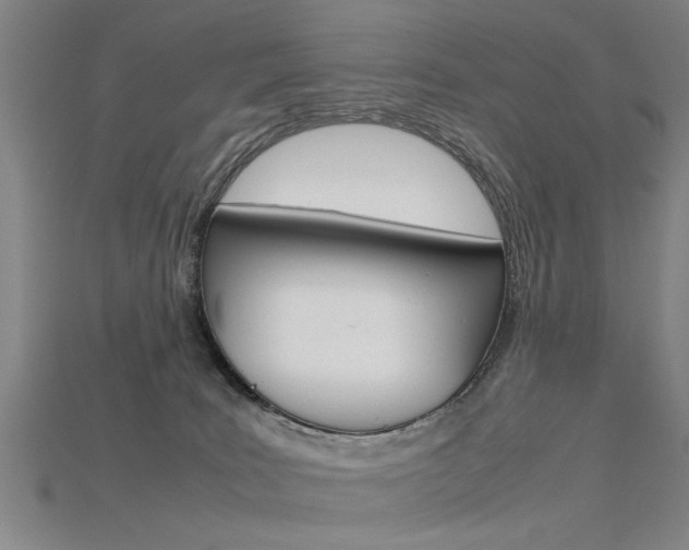 X0000115800035200911131031