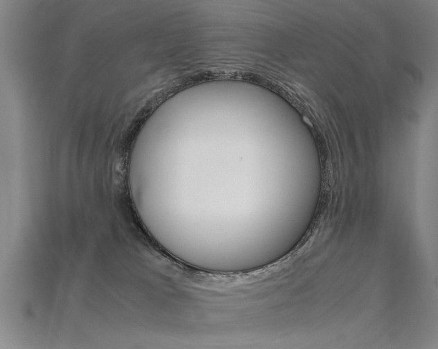 X0000115800037200911131031