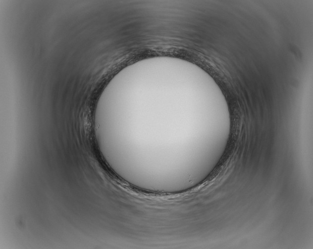 X0000115800040200911131031