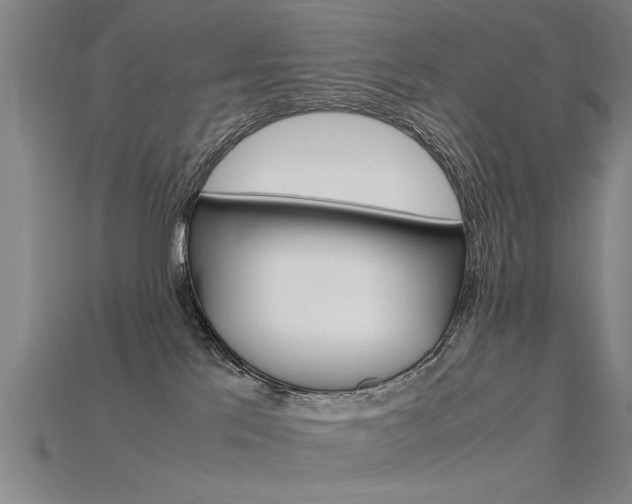 X0000115800041200911131031