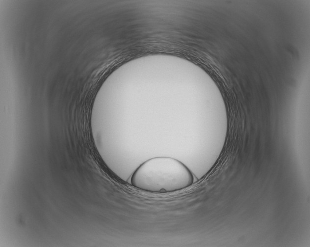X0000115800043200911131031