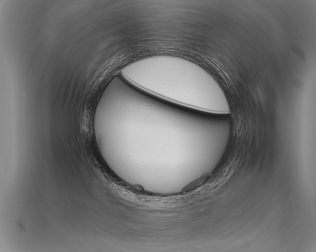 X0000115800044200911131031