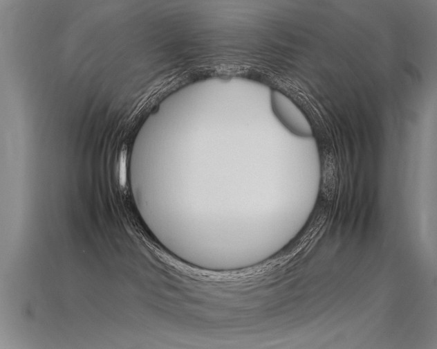 X0000115800046200911131031