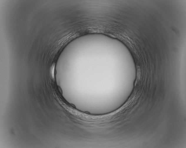 X0000115800047200911131031