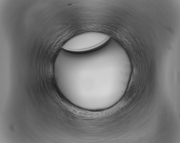 X0000115800048200911131031
