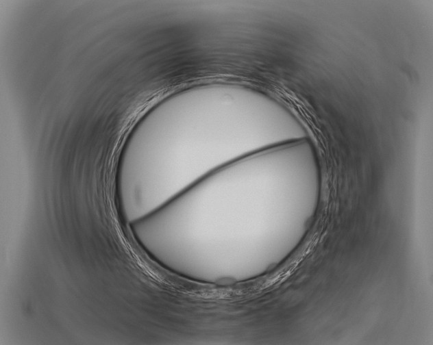 X0000115800049200911131030