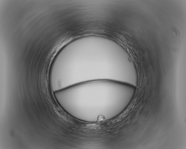 X0000115800050200911131030