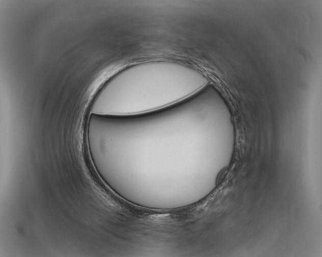X0000115800054200911131030