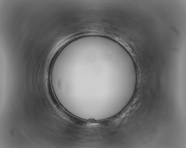 X0000115800055200911131030