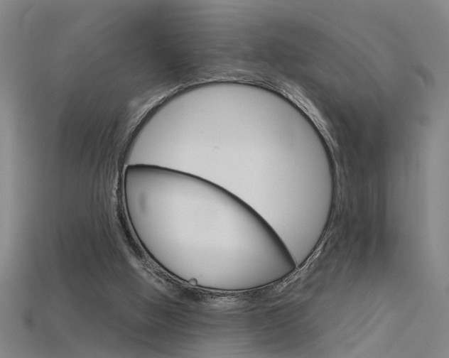 X0000115800058200911131030