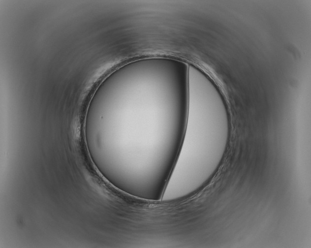 X0000115800060200911131030