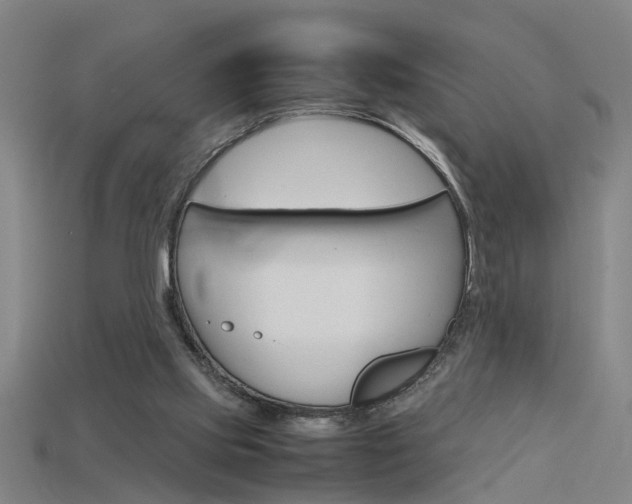 X0000115800061200911131030