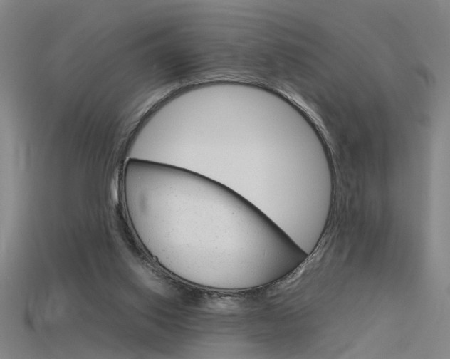 X0000115800062200911131030