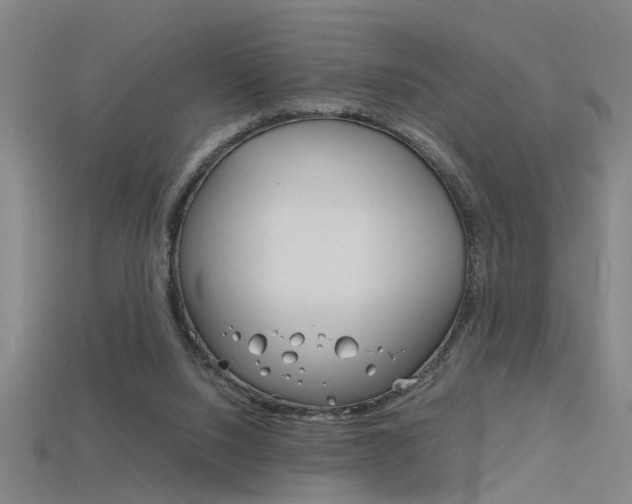 X0000115800064200911131031