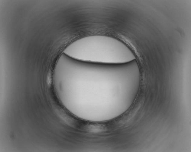 X0000115800069200911131031