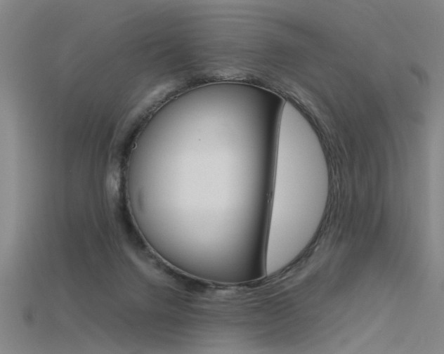 X0000115800072200911131031
