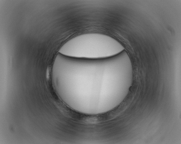 X0000115800075200911131031
