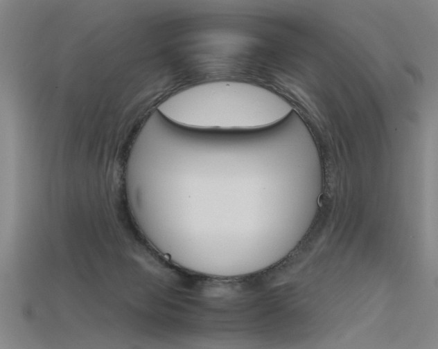 X0000115800077200911131031